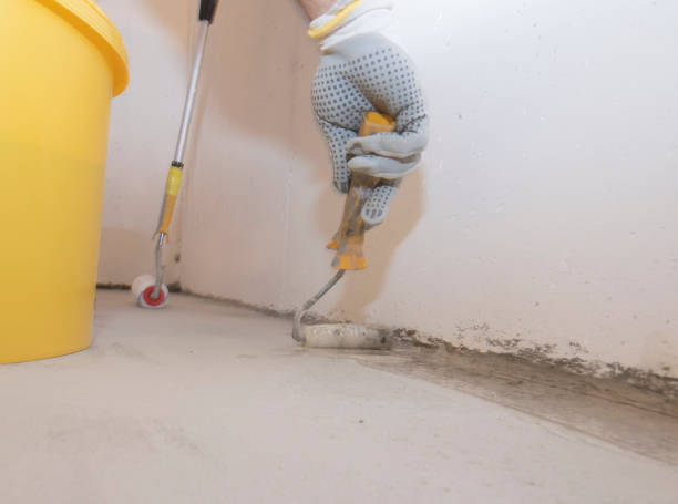 Best Pest Prevention Services  in Combes, TX